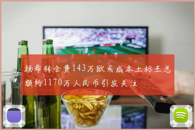杨希转会费143万欧或成本土标王总额约1170万人民币引发关注